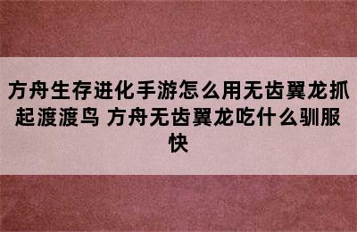 方舟生存进化手游怎么用无齿翼龙抓起渡渡鸟 方舟无齿翼龙吃什么驯服快